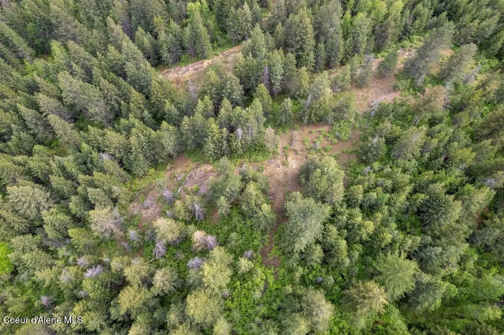1427 Roop Road Cocolalla ID 83813
