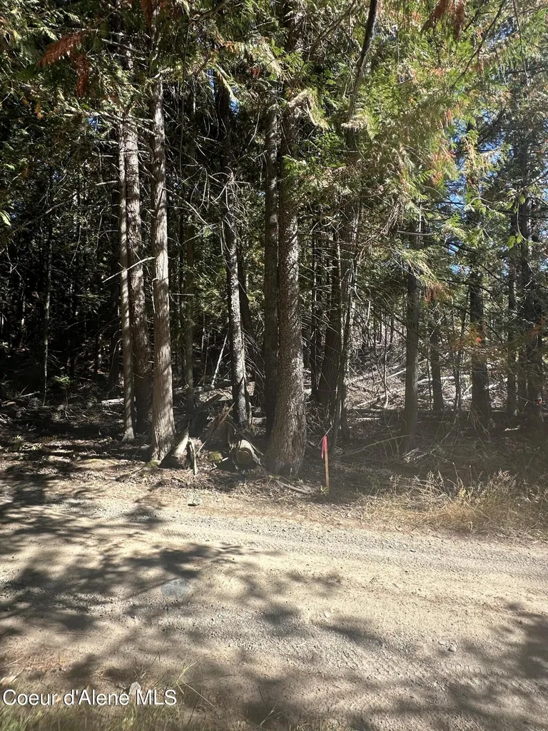Nka Lot 2 Forty Niner Lane Bonners Ferry ID 83805