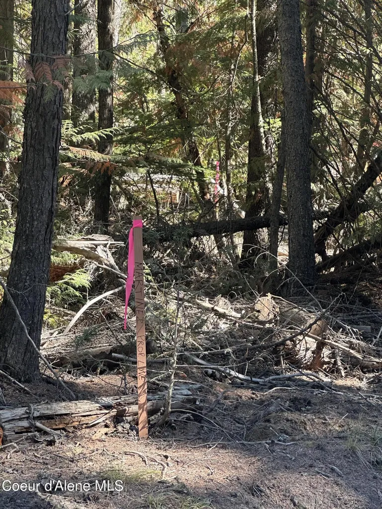 Nka Lot 2 Forty Niner Lane Bonners Ferry ID 83805