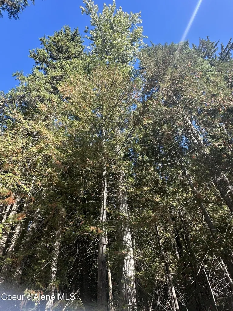 Nka Lot 2 Forty Niner Lane Bonners Ferry ID 83805