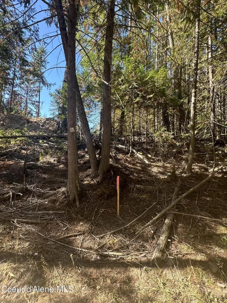 Nka Lot 2 Forty Niner Lane Bonners Ferry ID 83805