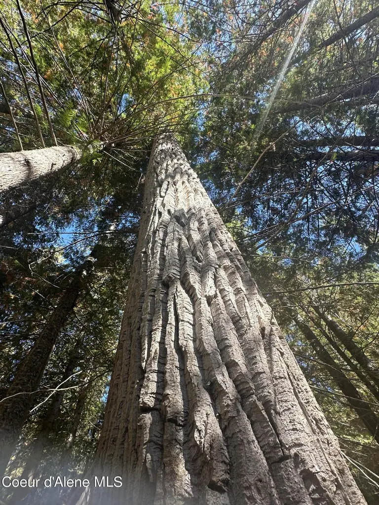Nka Lot 2 Forty Niner Lane Bonners Ferry ID 83805