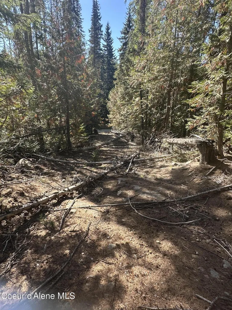 Nka Lot 2 Forty Niner Lane Bonners Ferry ID 83805