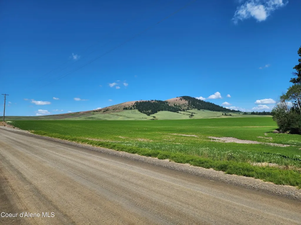 NKAPARCEL2 Desmet Road Desmet ID 83824