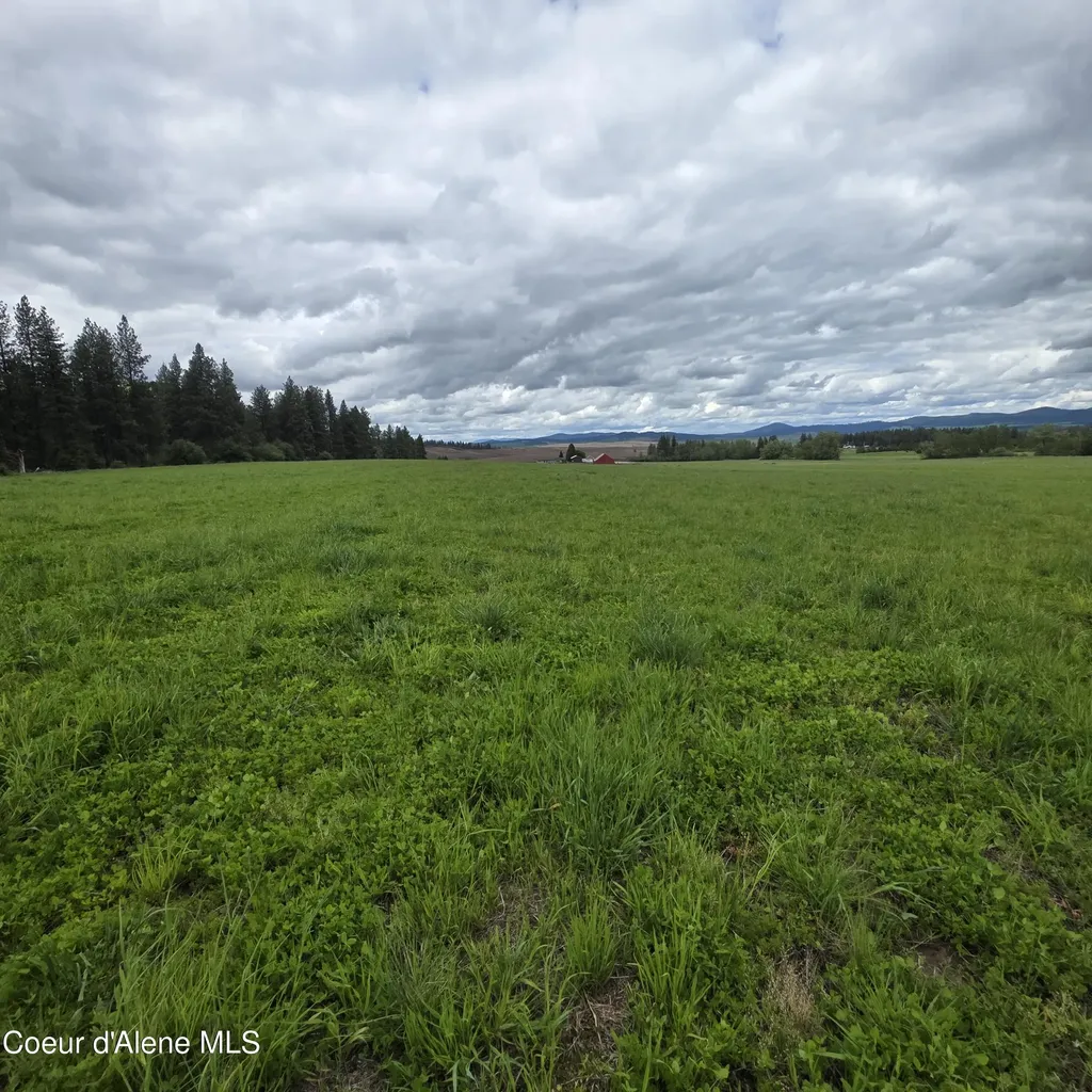 NKAPARCEL2 Desmet Road Desmet ID 83824