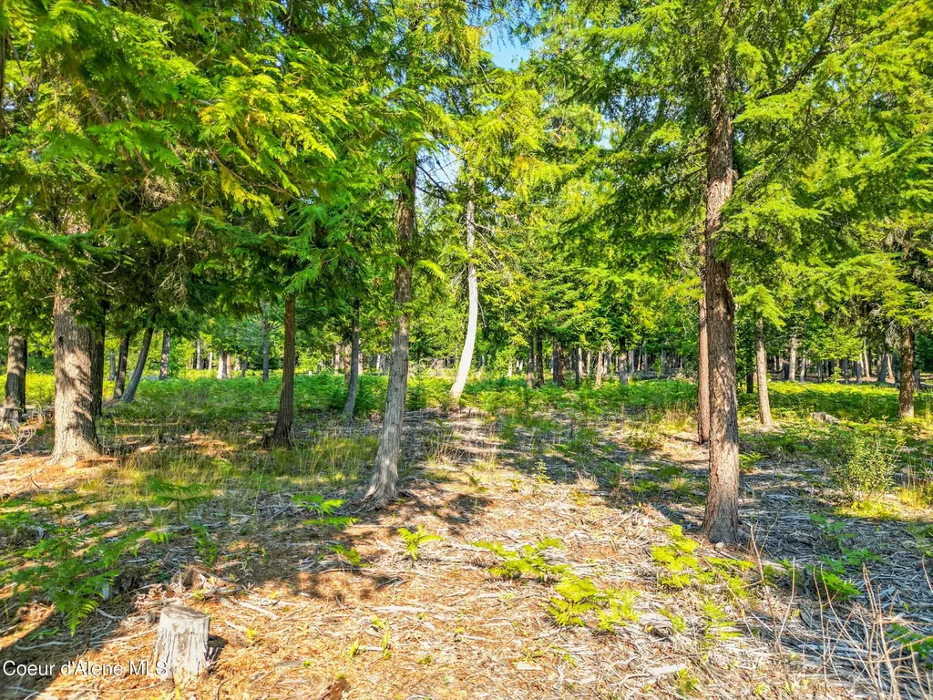 125 Ranch Road Naples ID 83847
