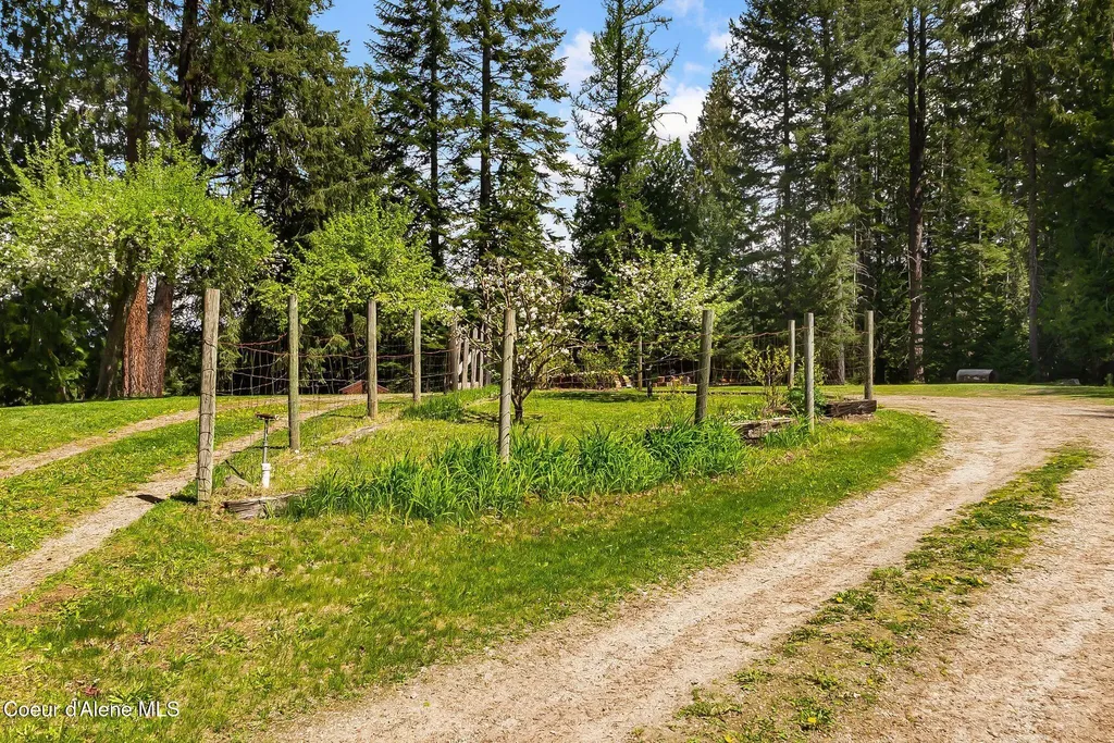 255 Red Alder Road Careywood ID 83809