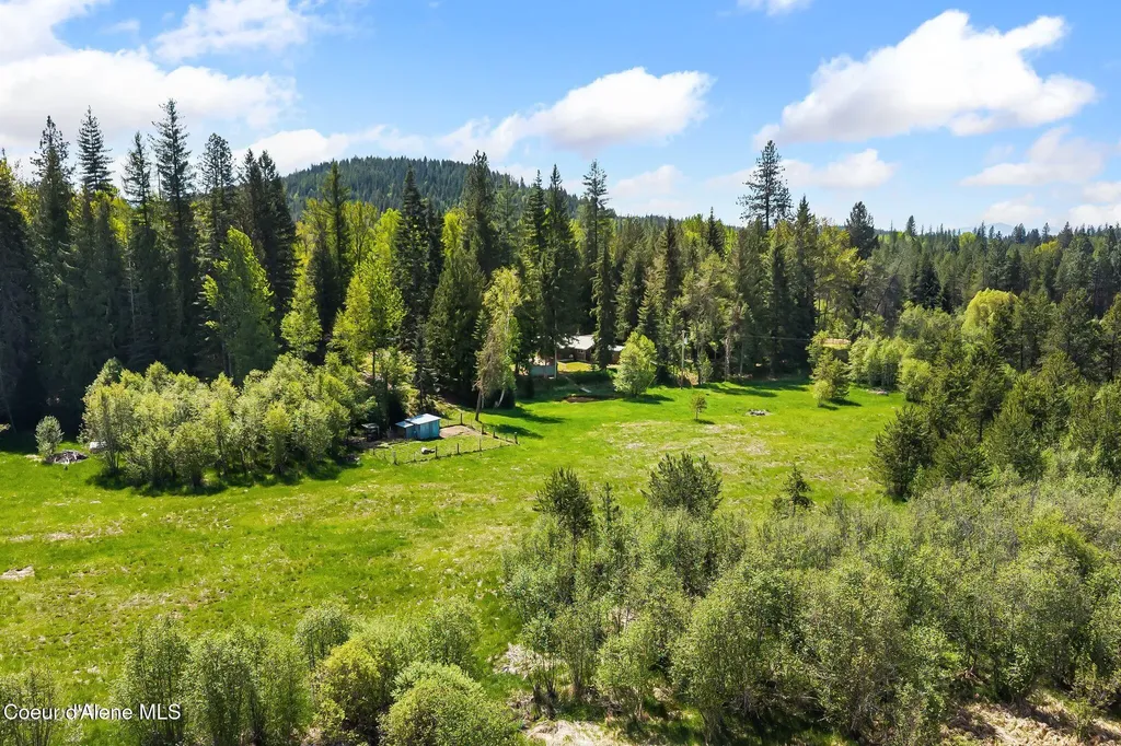 255 Red Alder Road Careywood ID 83809