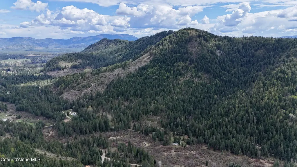 1546 Pup Paw Trail Priest River ID 83856