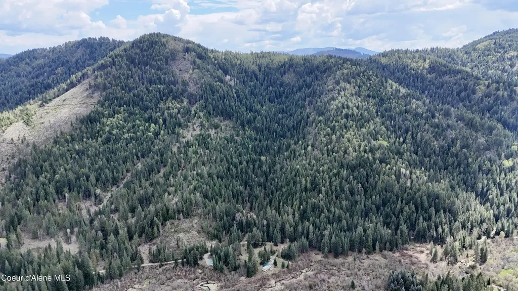 1546 Pup Paw Trail Priest River ID 83856