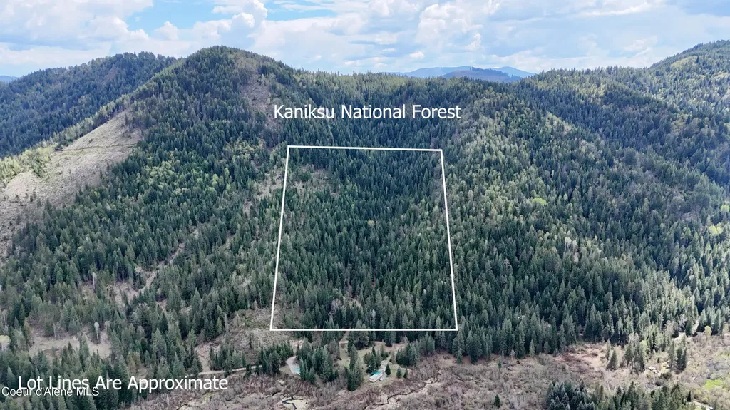 1546 Pup Paw Trail Priest River ID 83856