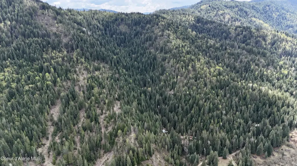 1546 Pup Paw Trail Priest River ID 83856