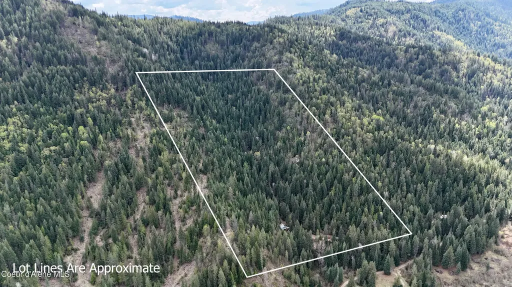 1546 Pup Paw Trail Priest River ID 83856