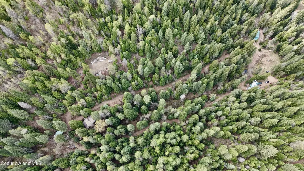 1546 Pup Paw Trail Priest River ID 83856