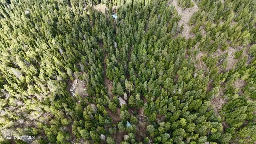 1546 Pup Paw Trail Priest River ID 83856