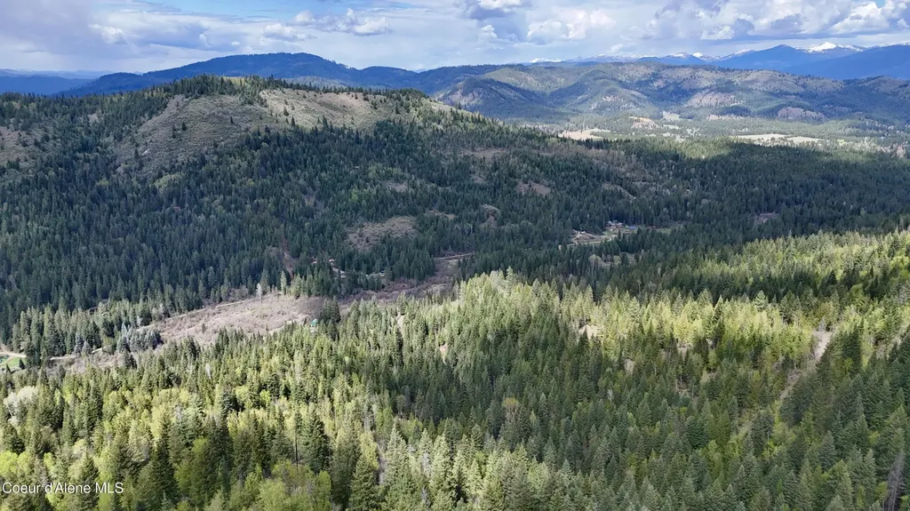 1546 Pup Paw Trail Priest River ID 83856