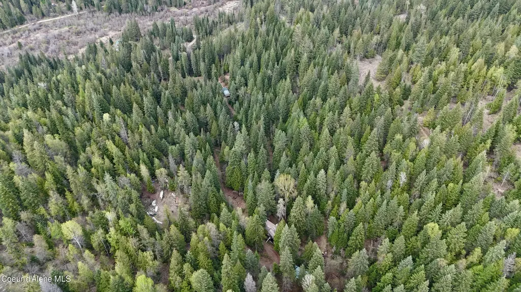 1546 Pup Paw Trail Priest River ID 83856