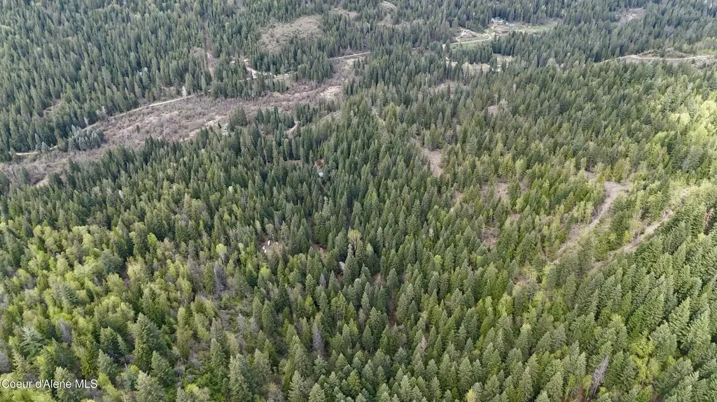1546 Pup Paw Trail Priest River ID 83856
