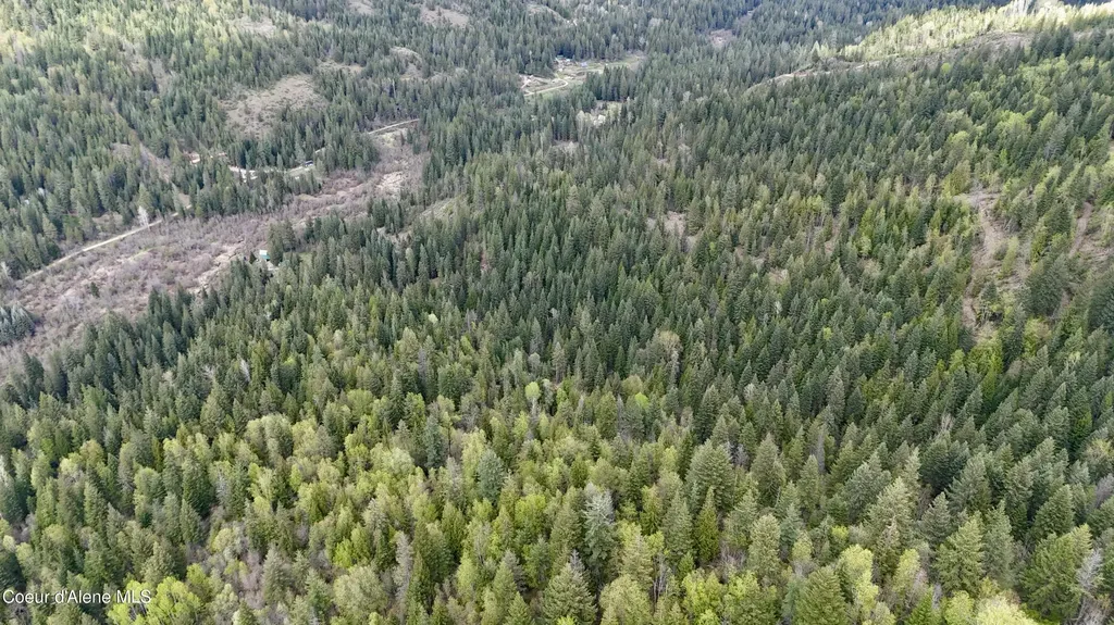 1546 Pup Paw Trail Priest River ID 83856