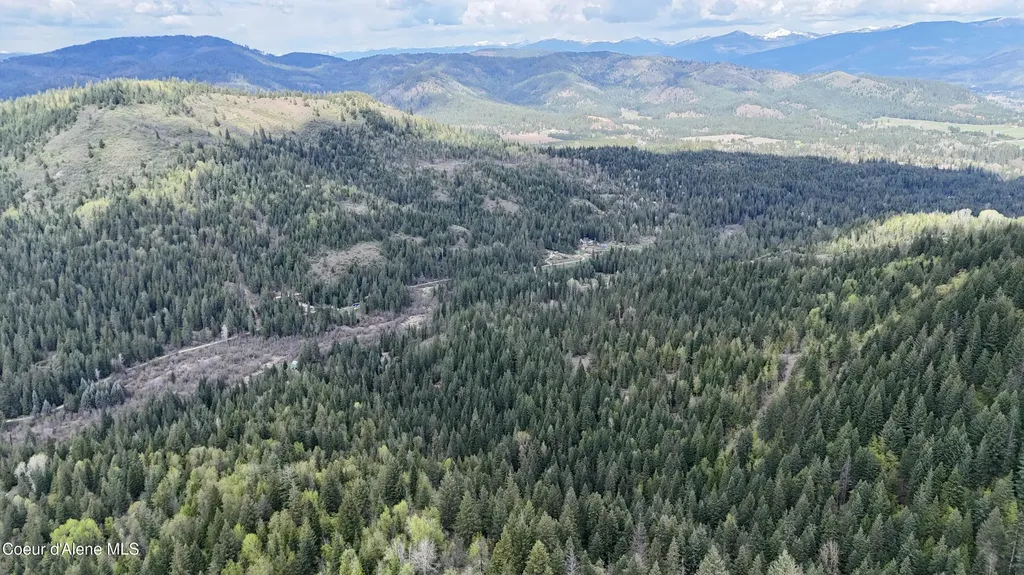 1546 Pup Paw Trail Priest River ID 83856