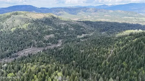 1546 Pup Paw Trail Priest River ID 83856