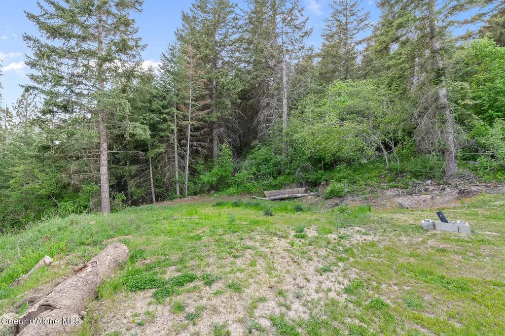 21714 S Lakeview Drive Worley ID 83876