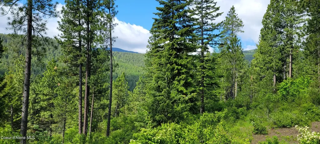 Nna Snowcat Lane Tract 2 Bonners Ferry ID 83805