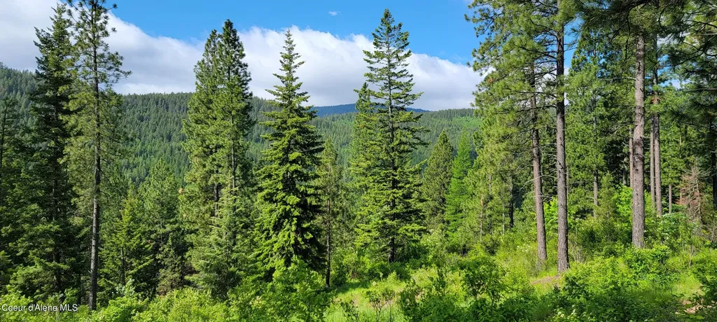 Nna Snowcat Lane Tract 2 Bonners Ferry ID 83805