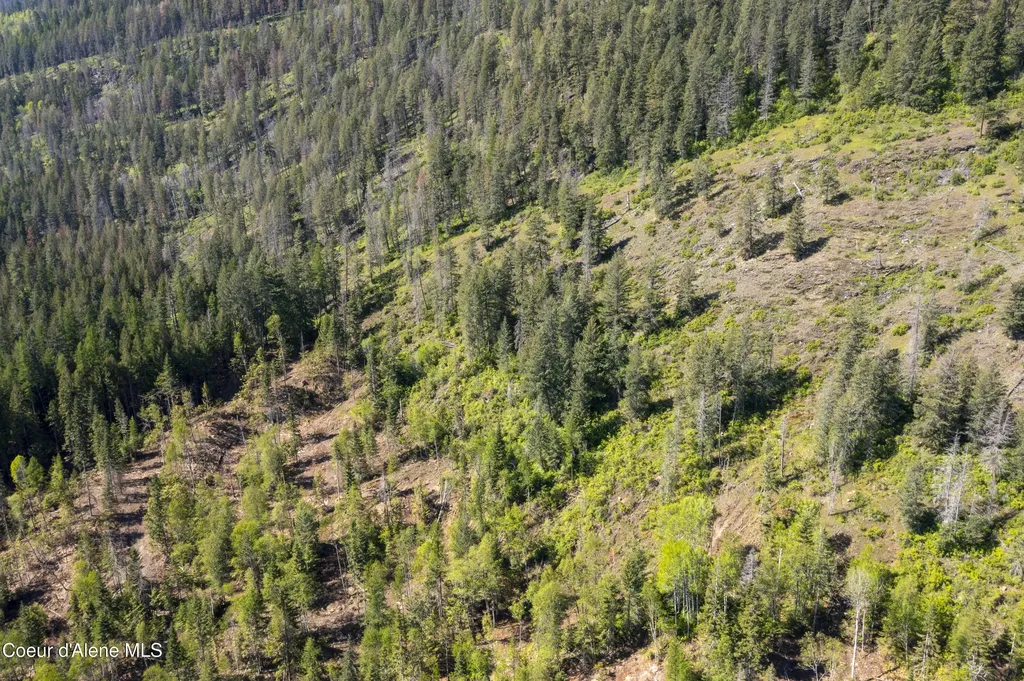 Nna Westside Road Parcel 9 Bonners Ferry ID 83805