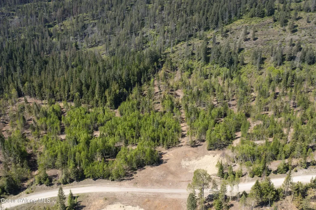 Nna Westside Road Parcel 9 Bonners Ferry ID 83805
