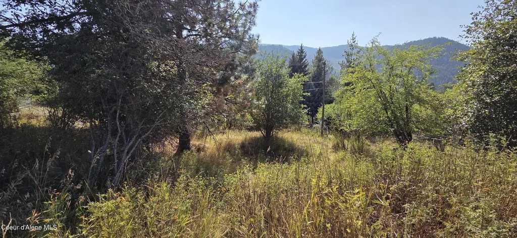 229 Rio Vista Street Osburn ID 83849