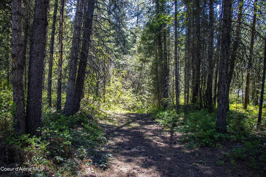 139 Mount Smith Estates Cocolalla ID 83813