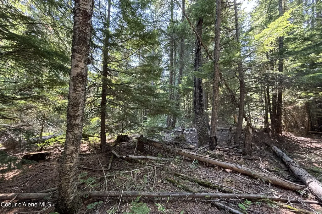 Nna Ridge Way Sandpoint ID 83864