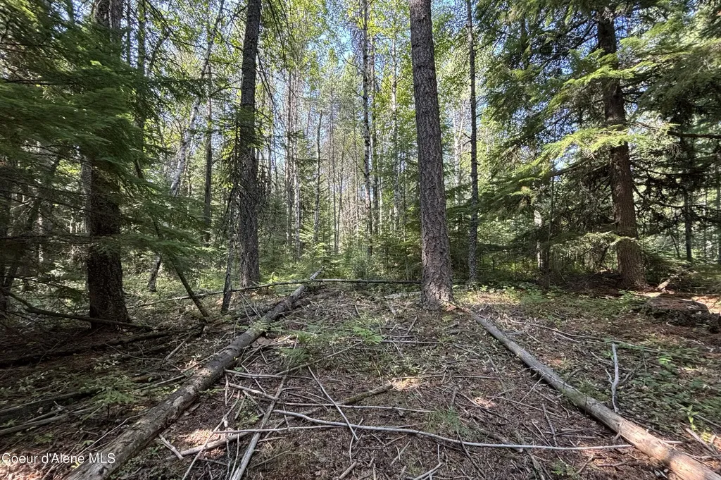 Nna Ridge Way Sandpoint ID 83864