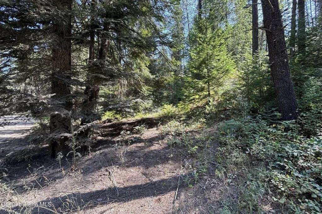 Nna Ridge Way Sandpoint ID 83864