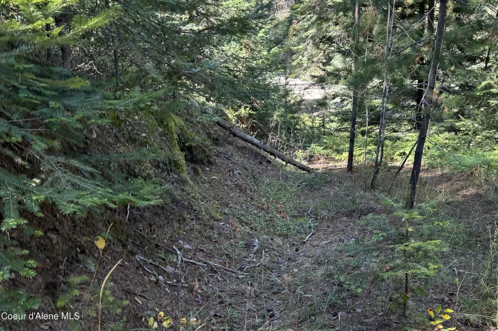 Nna Ridge Way Sandpoint ID 83864