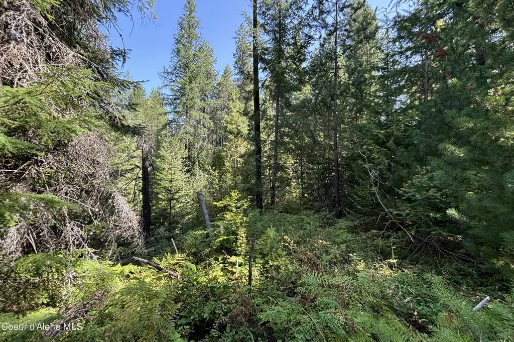 Nna Ridge Way Sandpoint ID 83864