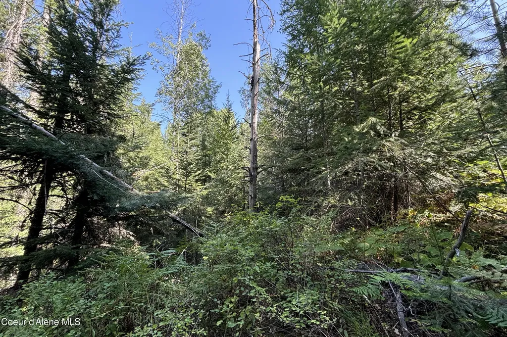 Nna Ridge Way Sandpoint ID 83864