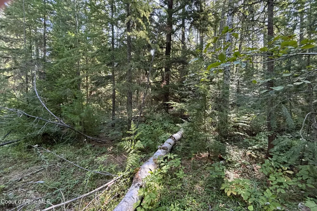 Nna Ridge Way Sandpoint ID 83864