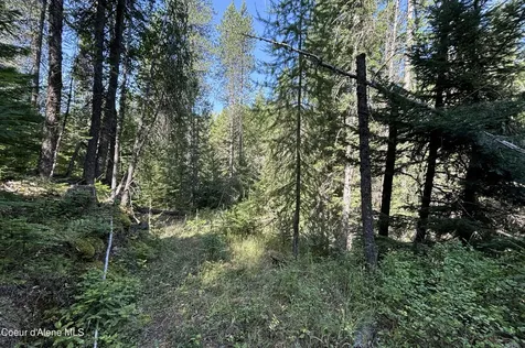 NNA Ridge Way Sandpoint ID 83864