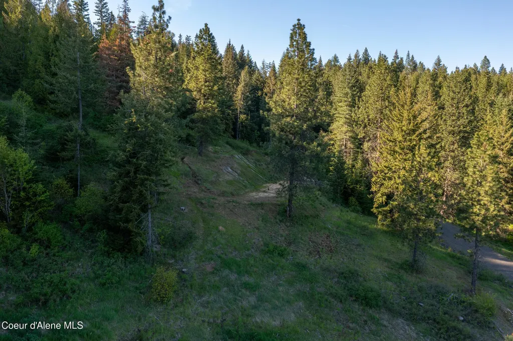 Nna W Biggs Road Lot 1 & 2 Rathdrum ID 83858