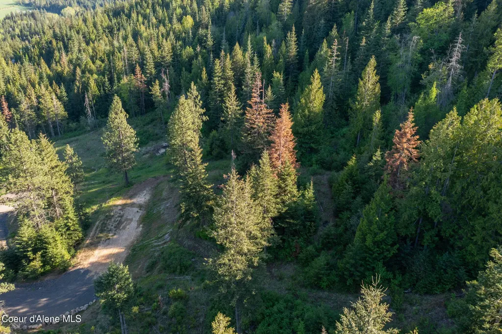 Nna W Biggs Road Lot 1 & 2 Rathdrum ID 83858