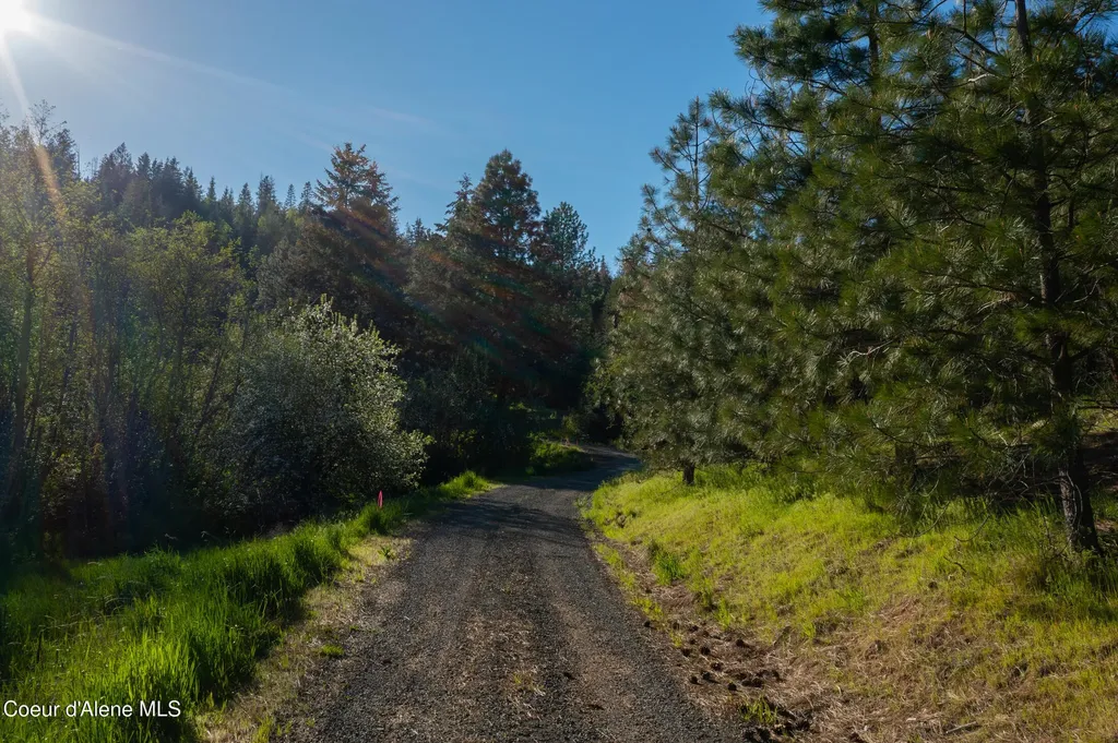 Nna W Biggs Road Lot 1 & 2 Rathdrum ID 83858