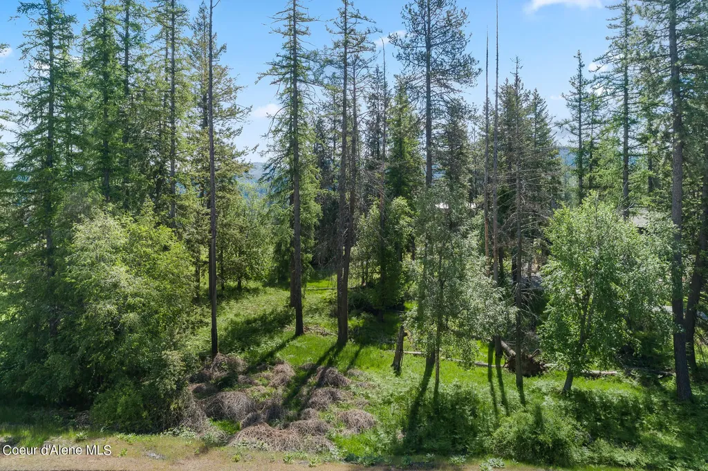 6528 S Old Barn Road Harrison ID 83833