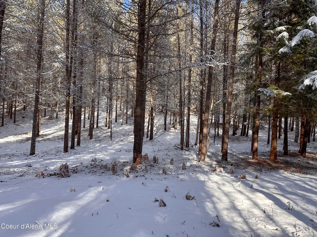 1599 Saddleback Drive Naples ID 83847