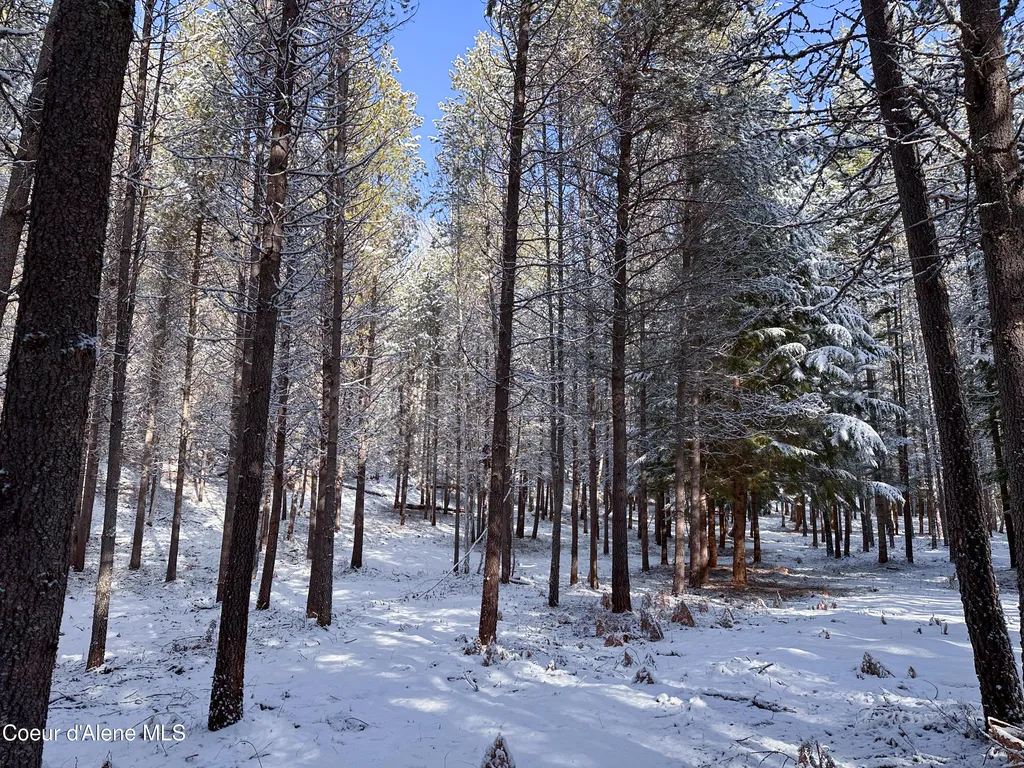 1599 Saddleback Drive Naples ID 83847