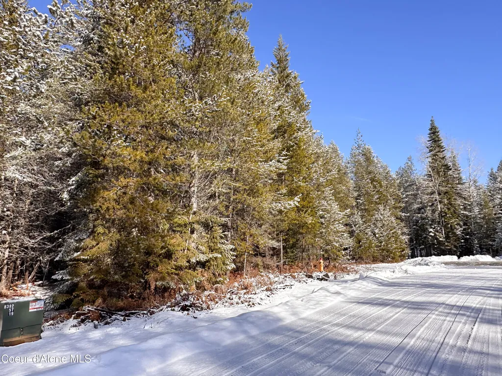 1599 Saddleback Drive Naples ID 83847