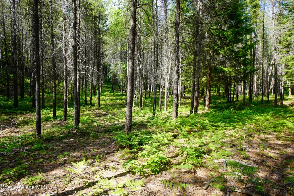 1599 Saddleback Drive Naples ID 83847