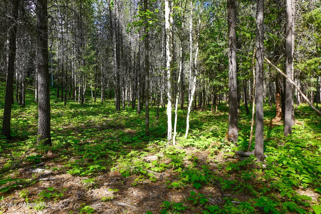 1599 Saddleback Drive Naples ID 83847