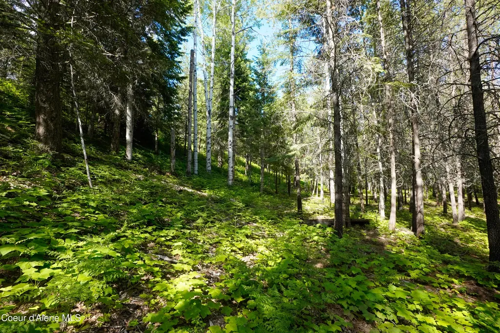 1599 Saddleback Drive Naples ID 83847